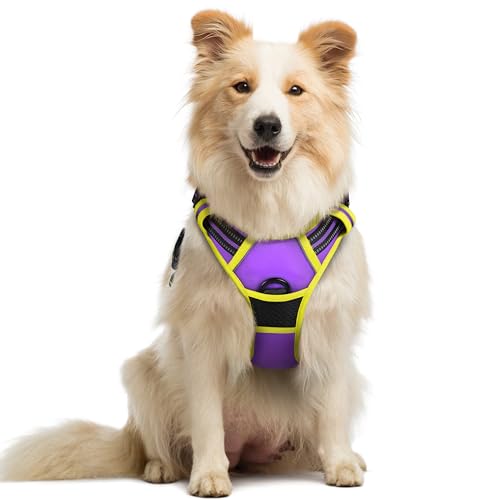 Image of rabbitgoo Dog Harness No Pull with 2 Leash Clips, Adjustable Soft Padded, Reflective Oxford No Choke Pet Vest with Easy Control Handle for Medium Sized Dogs, Purple & Yellow, M
