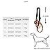 Dog Litf Harness, Dog Sling for Large Dogs Hind Leg Support, Hind Leg Support to Help Rehabilitate, for Elderly, Injured, Arthritic Dogs(Small)