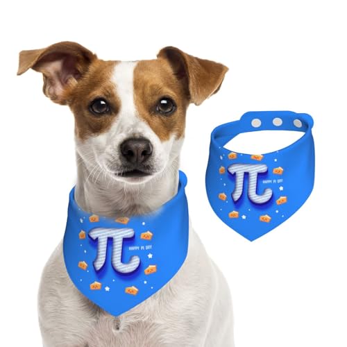 Bufanda para perros divertida día Pi matemática 3.14