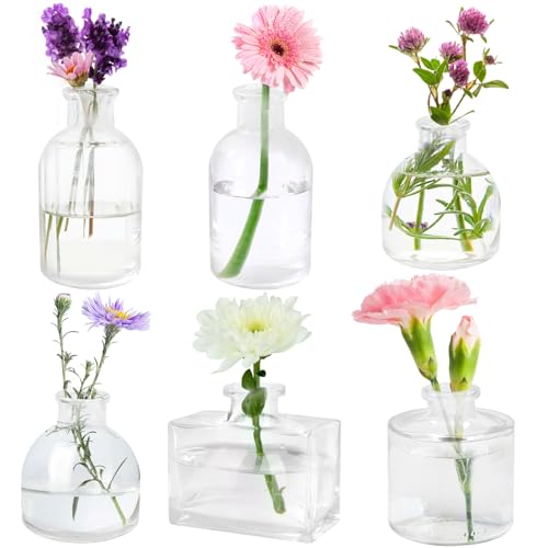 Otauoaea Lot de 6 Petits Vases en Verre, Mini Vase en Verre Vintage Vase Deko Set,Récipients à Fleurs Décoratifs avec Ficelle - pour Décorations de Table Moderne,...