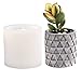 Silicone Planter Mold Handmade Flower Pot Making Mould for Office Decor