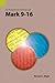 Produktbild An Exegetical Summary of Mark 9-16