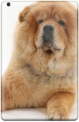 chow chow amazon