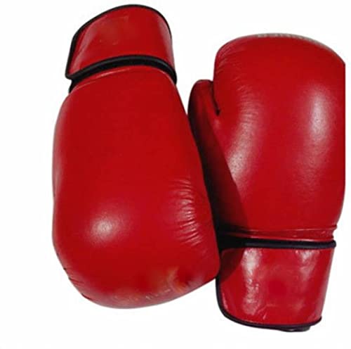 SanR Red Boxing Glove for Boys and Girls Best Punching Bag Gloves for Children Training (Size 6 oz Upto 7 Year to 10 Year) (B09M6Y8HQK) Amazon Price History, Amazon Price Tracker