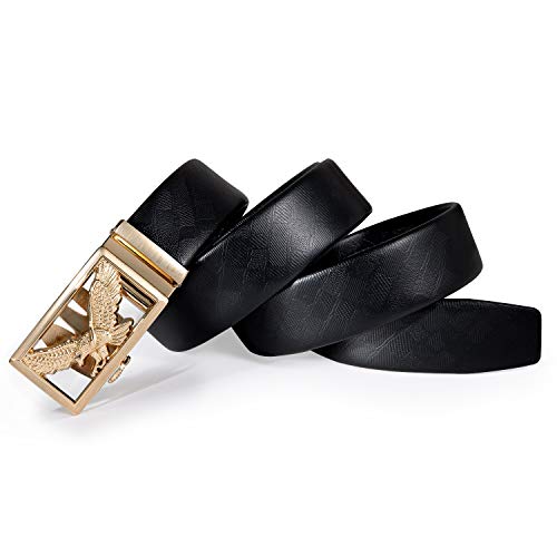 Dubulle Men's Gold Belt and Silver Belt4