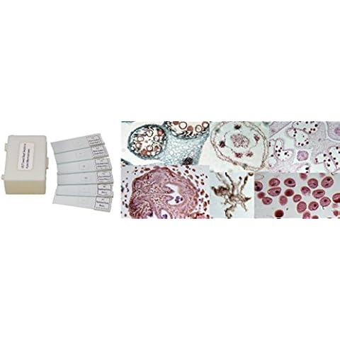 Apex Flower Bud Slides Cover