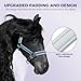 Hilltown Adjustable Horse Halter with PP Webbing, Durable Horse Halters with Zinc Alloy Hardware, Horses Training Equipment to Prevent Friction for Training, Competitions ＆ Daily (Full, Blue)