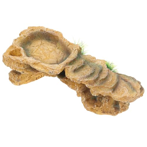 VERDANVERSE ঒ރP[WpTu  BƕtE~KnANZT[ ^TΉ dϋvvbgtH[ JG