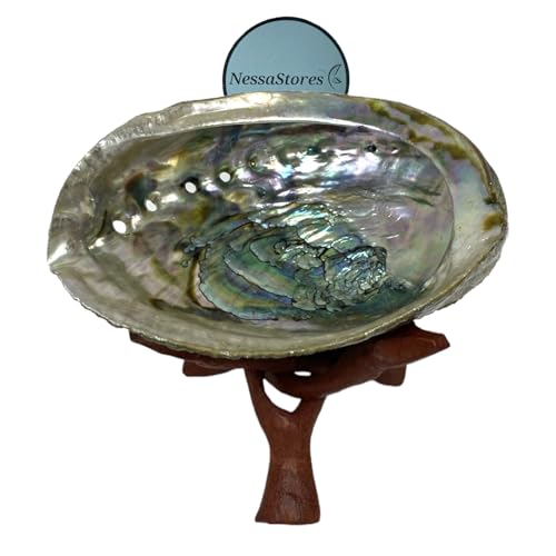 NessaStores Abalone Shell 4-5 Inches & Tripod Stand 4 Inches | Beautiful All Natural Smudge Bowl - Perfect for Smudge Sticks, Incense and a Sage Kit. JC-211-B