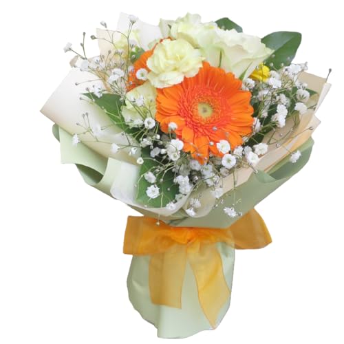 a  Mtg ̂܂܏ ԑ Iׂ6  AWg  ԕrsv u[P o[Xf[ v[g LO N j j j җ hV  މ@j   ybg (r^~)