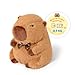 shownicer W&auml;rmekissen Stofftier Capybara W&auml;rme-Kuscheltier Erw&auml;rmen in der Mikrowelle W&auml;rmendes Pl&uuml;schkissen Gewichtstiere Pl&uuml;schtier Geschenk f&uuml;r Erwachsene Kinder 3+ Jahre (23cm 0,9kg)