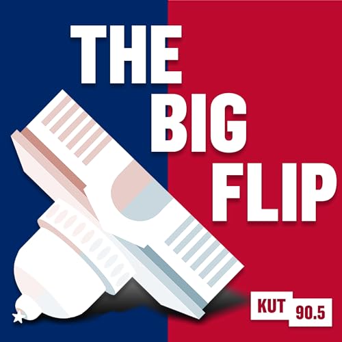 Couverture de The Big Flip