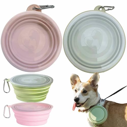Set di 2 ciotole pieghevoli per cani e gatti in silicone con coperchio e moschettone – portatili e richiudibili, ideali per viaggi, passeggiate e campeggio (rosa e ciano, 350 ml)