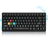 LQXQ SK75 TMR 75% Aluminium Wireless Mechanical Keyboard ANSI US, Pre-lubed POM Switches RGB Creamy Gaming Keyboard, 3-Modes BT5.0/2.4G/USB-C, Hot Swappable Keyboard with Seal, Black
