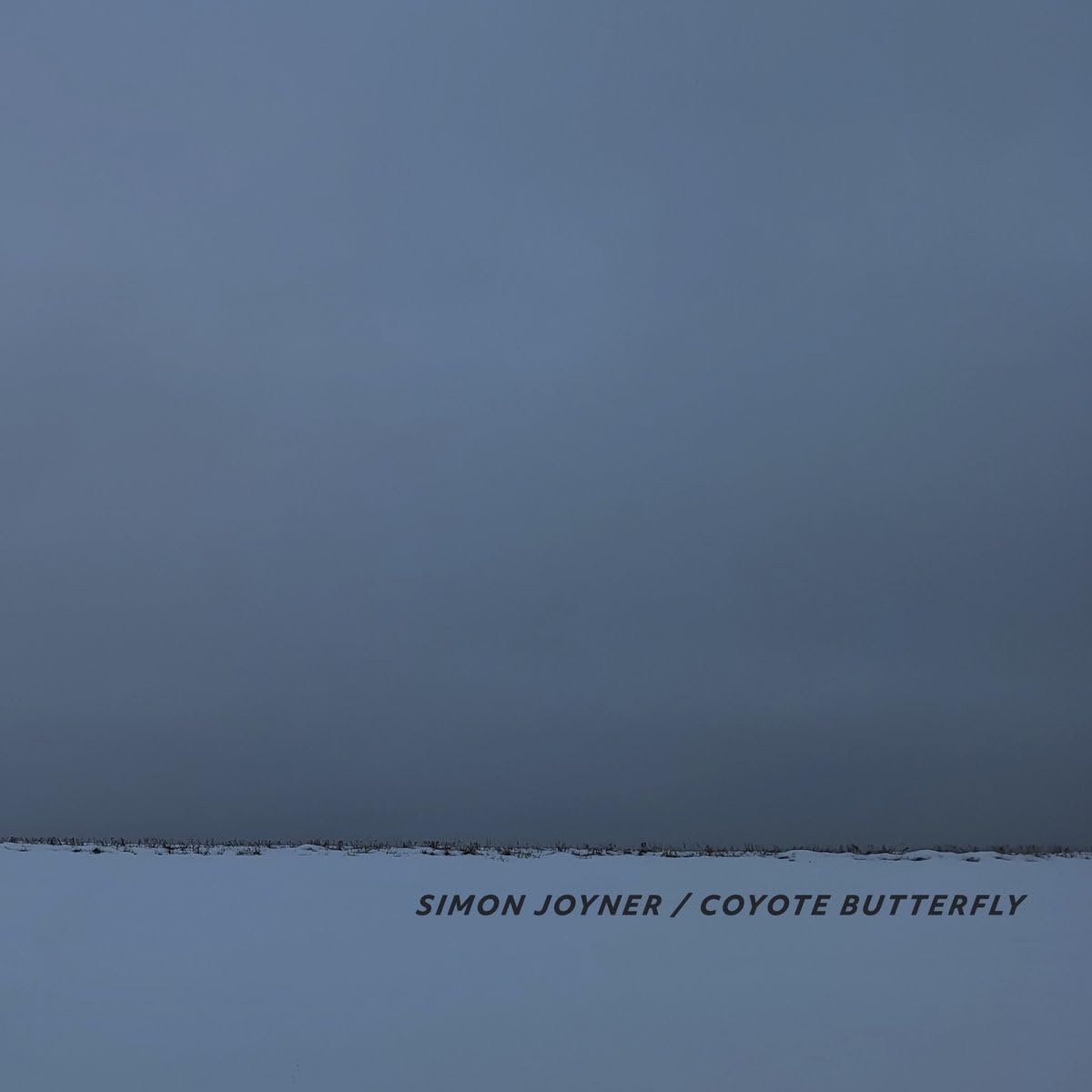 Coyote Butterfly [VINYL]