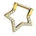 HEYZAKKA Stylish Star Nose Studs Jewelry Comfortable Star Shaped Nose Piercing Body Studs for Fashion Enthusiasts Sophisticated