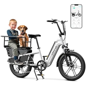 electric bike with cargo space