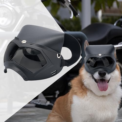 Lunettes pour chien avec casque antichoc aux finitions soignées - 3