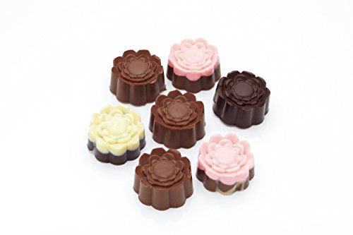 Fa Dolcemente It Stampo di Cioccolato del Silicone...