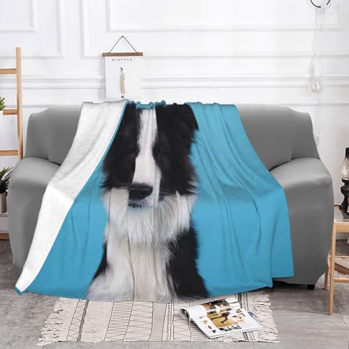 Couverture flanelle Border Collie super douce toutes saisons - 4