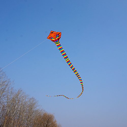 Besra Large Cobra Snake Kite 52ft Colorful Rattlesnake Kite with 15m Long Tails Outdoor Fun Sports with Flying Tools (Rainbow) - Thumbnail 6