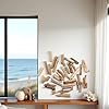 20 Pcs Natural Driftwood Pieces Branch Slices Craft Sticks Beach Decor for for DIY, Driftwood Pieces for Crafts Frames Wreath Surf Art Beach Decor, Craft Supplies #2