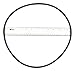 Filter Head O-Ring 1 Each - Hayward RGX45G