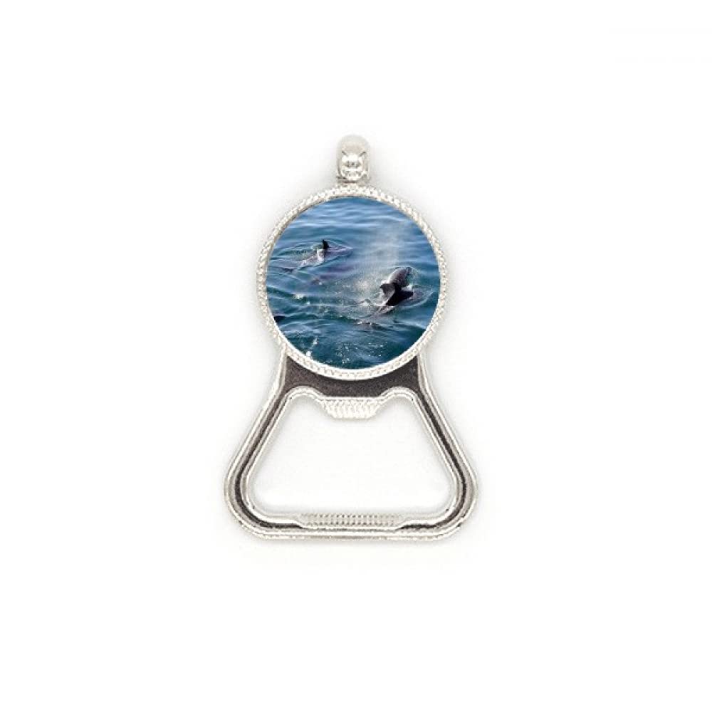 Décapsuleur acier inoxydable plat motif baleine ouvre-bouteille bière et soda
