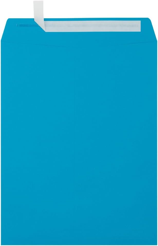 LUXPaper 10 x 13 Open End Envelopes | Peel & Press | Pool Blue | 80lb. Text | 1,000 Qty