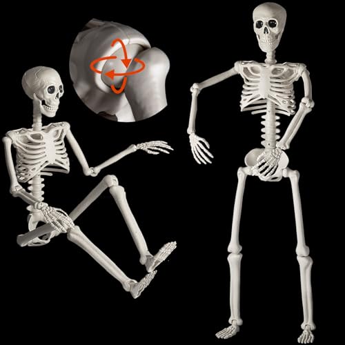Squelette Halloween grande taille pour mise en scène terrifiante de vitrine