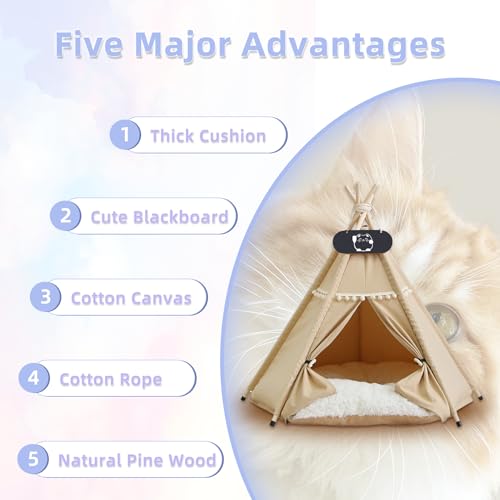 Whiwhi Tipi Zelt für Haustiere mit Doppelseitigem Kissen Hundezelt Abnehmbar und Waschbar Luxery Hundehöhle Katzenzelt und Haustierhäuser 60x60x70cm