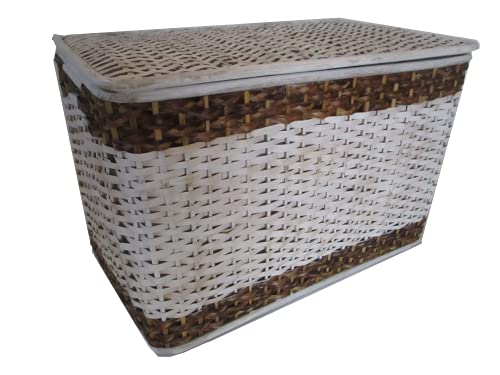Baule Porta Biancheria in Vero Rattan e Foglie di Banano – Cesto Intrecciato con Fodera in Textilene – Contenitore Salvaspazio con Coperchio per Bagno, Camera e Lavanderia – 61x38x40 cm