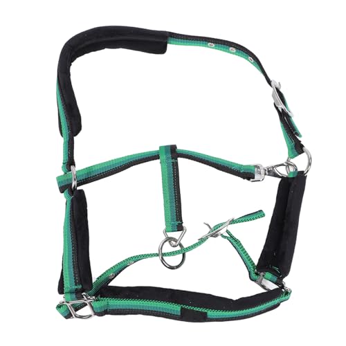 Licol de cheval réglable Pilipane en nylon rembourré pour l'équitation