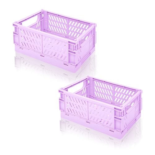 Image of Daixers 2 Pack Mini Foldable Small Plastic Baskets for Organizing and Storage,Collapsible Storage Crates,Mini Bins for Home Kitchen Bedroom Bathroom Office (Purple, Large 10x6.5x4)