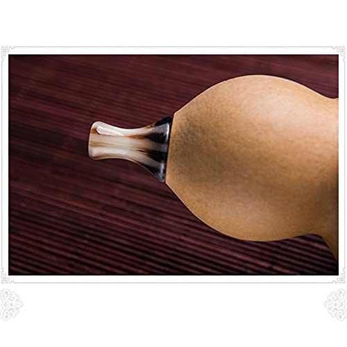 Flauta Hecha a Mano Hulusi Calabaza de bambú Negro Cucurbit Flauta Instrumento Musical étnico Clave de C con Estuche para Amantes de la música Principiantes