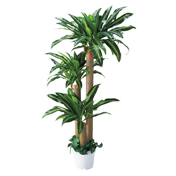 Amazon.co.jp: F0037人工観葉植物 リアル フェイクグリーン 観葉植物