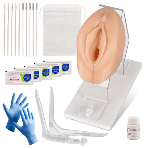 Image of Gynecological Examination Model, Vaginal Training Model for Science Teaching, Anatomical Model of Pelvic Health for Medical Students