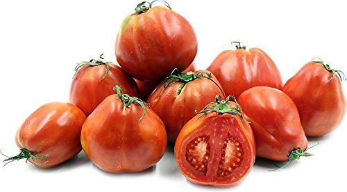 Amazon.com: Pomodoro,Red Pear tomato Seeds. beefsteak- Italian
