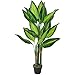 Northlight Artificial Wide Leaf Dieffenbachia Potted Plant, 51