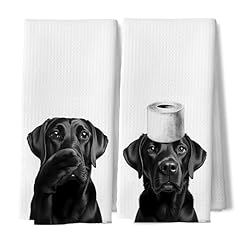 Labrador Retriever 02