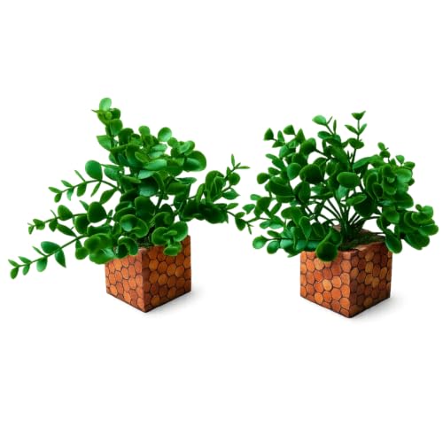 Image of DecoreBugs Artificial Eucalyptus Plant with Plastic Pot (Pack of 2) | 12 cm Height | Mini Potted Plants for Shelf Decor, Home, Office, Living Room, Desk & Table Item Decoration