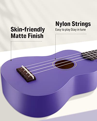 Image of Donner Soprano Ukulele for Beginner 21 Inch Matte Ukulele Beginner Kit with Bag Strap Tuner Strings Picks Cloth, Free Online Lessons (Purple)