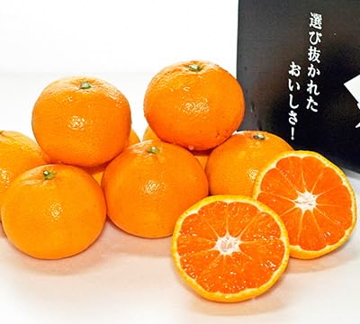 急速冷凍!冷凍みかん JAむなかた柑橘ブランド「姫神」2kg 甘くておいしいみかん[JAほたるの里]