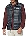 Columbia Sportswear Men's Flash Forward Down Vest