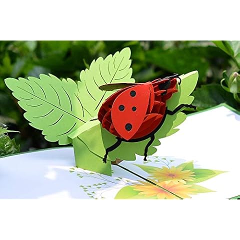 CUTPOPUP 3D Ladybug Birthday Card Cover