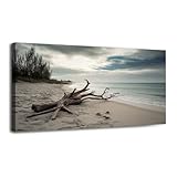 30'x 60' Large Coastal Wall Art driftwood beach stranded pictures royalty free photos Painting Picture Print Canvas Beach Wall Art for Living Room Bedroom Modern Home Wall Decor Framed Artwork