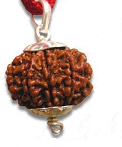 Natural & Original 8 Mukhi Rudraksha | Eight Faced Rudraksha Silver Pendant With Lab Certificate (1 Pc)2