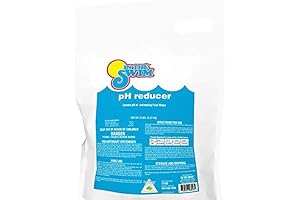 In The Swim pH Reducer for Balanced Pool Water
