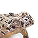 Safari Ltd. Horned Lizard Figurine - Lifelike 5.25
