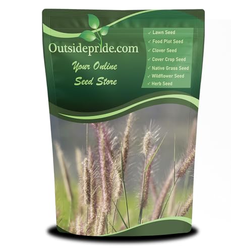 Outsidepride Perennial Northeast Native Grass Seed Mix - 1 lb. Cold & Drought-Tolerant Warm & Cool Season Prairie Grass Seeds for Xeriscaping, Erosion Control, Wildlife Support, & Pollinator Habitats